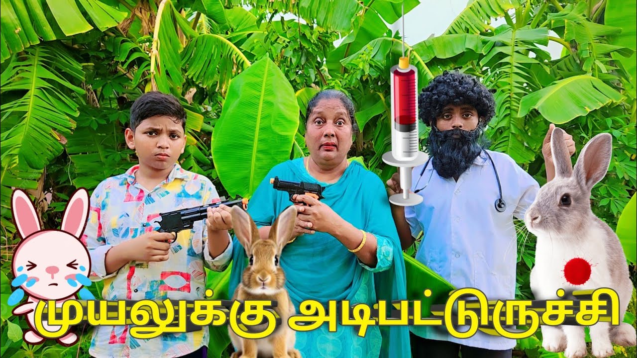 முயலுக்கு அடிபட்டுருச்சி🐇🐰 | comedy video | funny video | Ambika's vlog