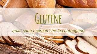 Quali sono i cereali con il glutine?