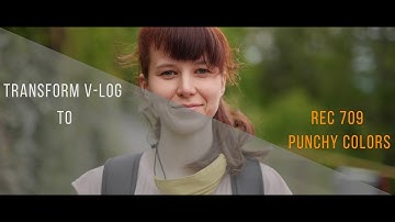 FREE LUT FOR PANASONIC V-LOG! (GH5, G9, S1...)
