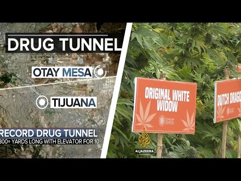 ყველაზე გრძელი გვირაბი ნარკოტრაფიკინგის ისტორიაში