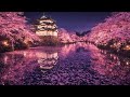 【RELAX】Night Sakura & Japanese Castle 🌙 | Deep Relaxing Japanese Ambient Music