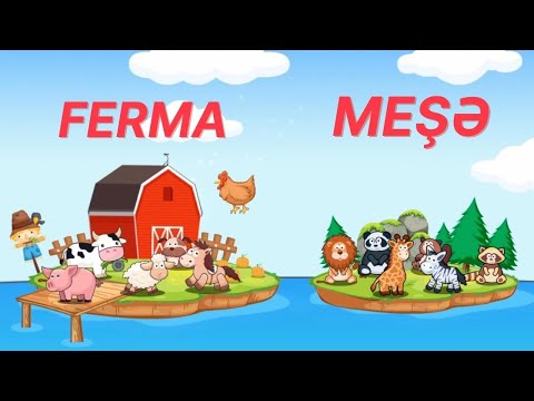 Ferma ve Mese Heyvanlar  / Ev Heyvanlari - Vehsi Heyvanlar