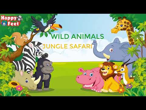 Jungle safari I Recognition of wild animals