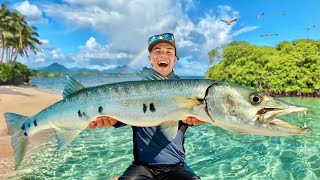 Barracuda géant de la Guadeloupe, la grande mission de pêche exotique !!