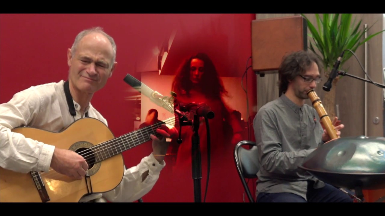 Chrysalide - musique improvisée (live music) - Fabrice Tonnellier et Yves Mesnil - YouTube