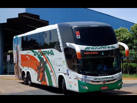 A empresa Andorinha anunciou vagas para motorista de ônibus.#empresaandorinha #motoristadeonibus