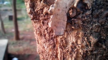 Byond B63 720p sample video