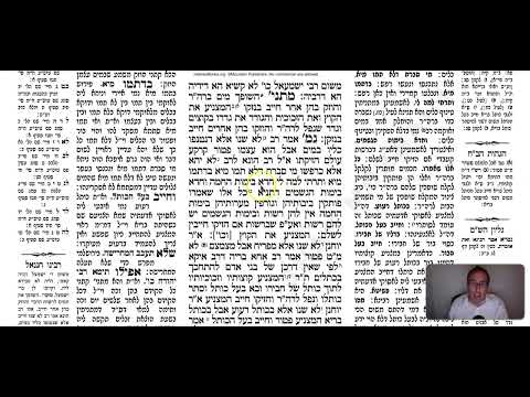Bava Kamma 30a - Youtube
