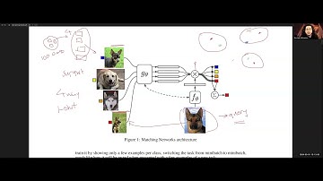 Matching Networks for One Shot Learning