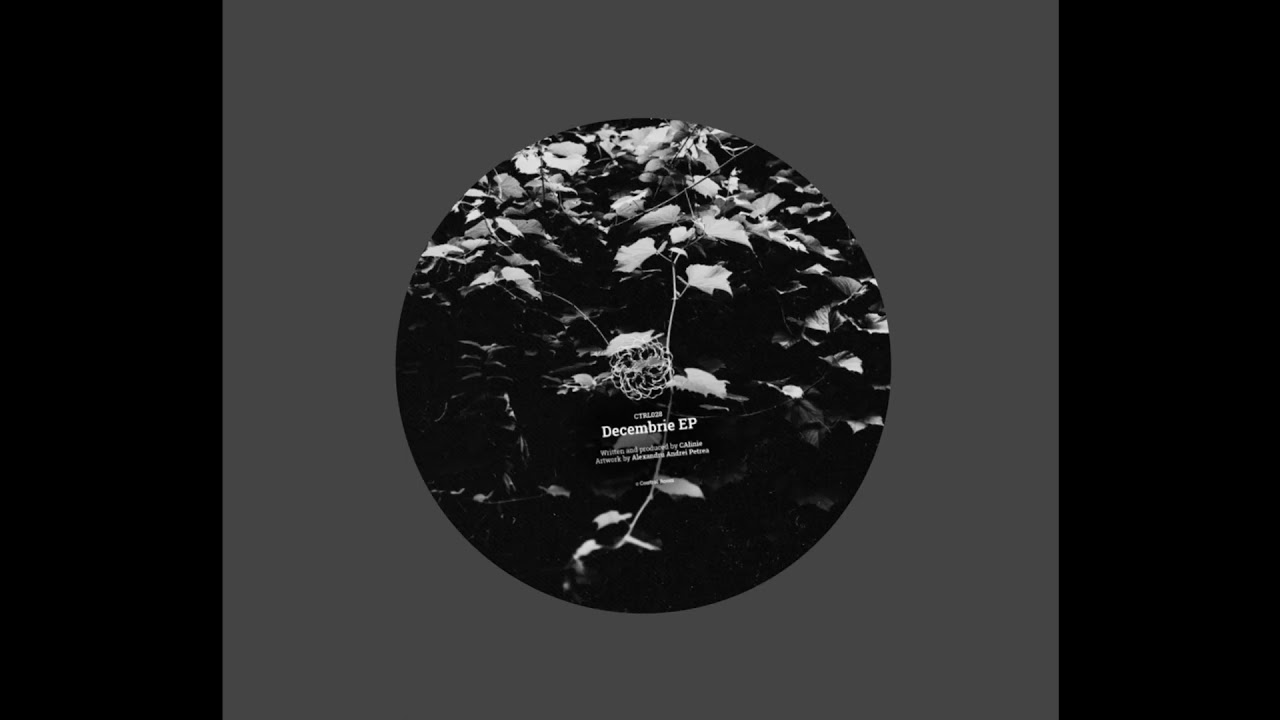 CAlinie - Solide