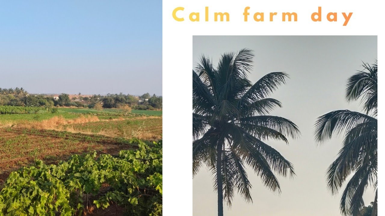 Living Close to Nature | Village Farm Life