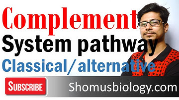 Complement system | classical and alternative pathway of complement activation