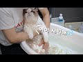 목욕 천재 고양이! 🛀