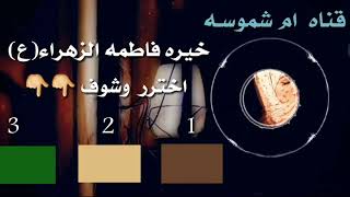 خيره فاطمه الزهراء_خيره الالـــــوان_ كشف عـــــام_ خيره مضبوطه 100%