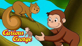 George's Treetop Home! 🐵 Curious George 🐵 Kids Cartoon 🐵 Kids Movies