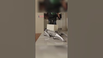 China makes new progress in invasive brain-computer interface trial