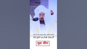 সূরাঃ ১০৫/ আল-ফীল | Al-Fil | سورة الفيل || Shaykh Abdul Rahman Sudais ||Muhammad Omar Faruk #Short