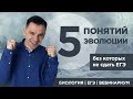 5 главных понятий эволюции | ЕГЭ 2020