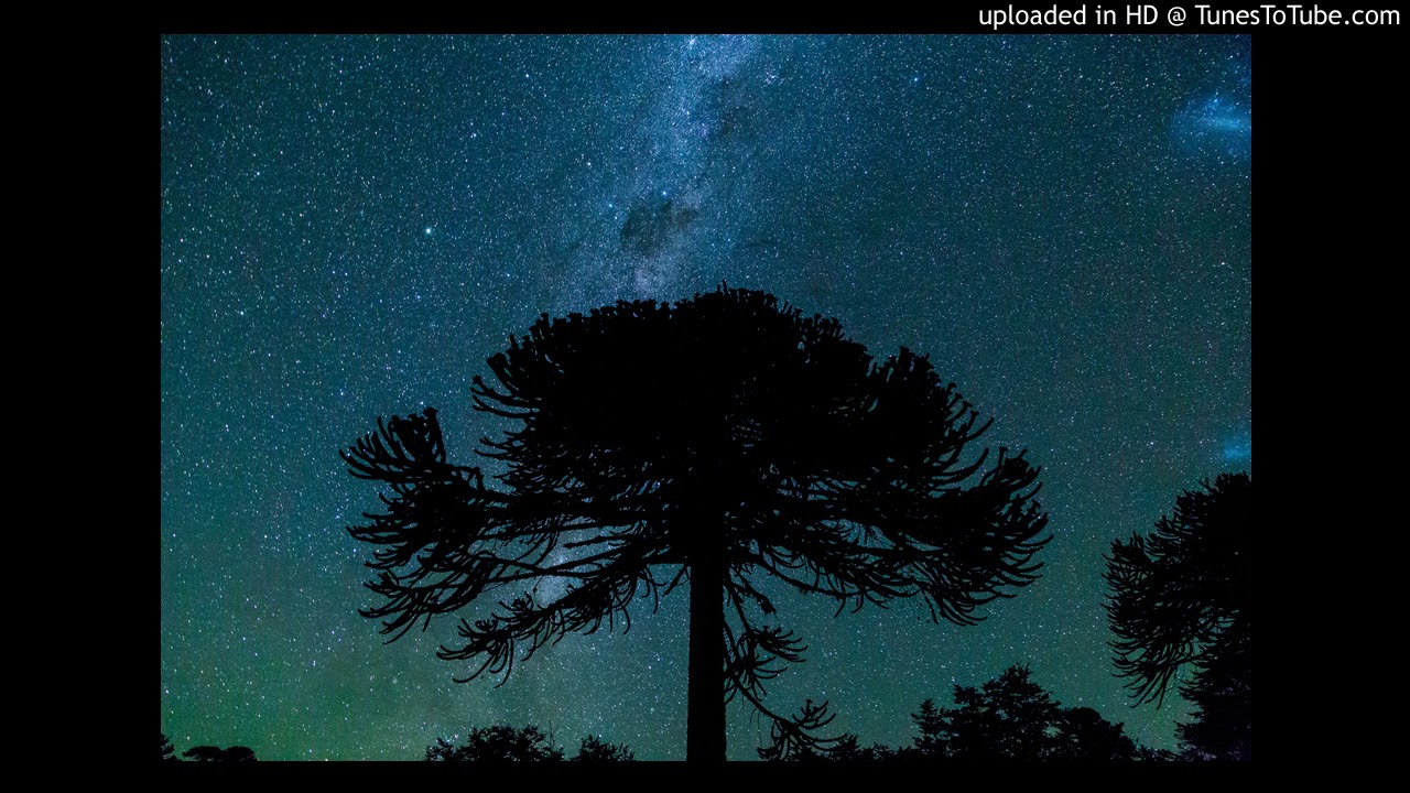 Canto Mapuche - Wallmapu