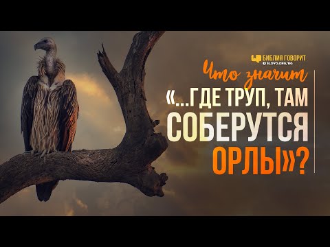 Что значит «...где труп, там соберутся орлы»? | "Библия говорит" | 992