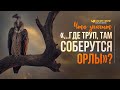 Что значит «...где труп, там соберутся орлы»? | "Библия говорит" | 992