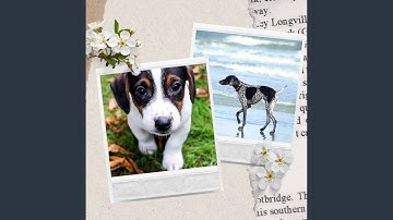 Pulsating Backdrops for Best Friends