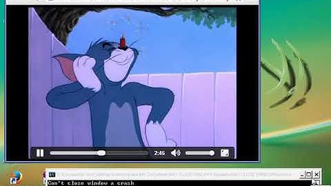 Tom and Jerry Explosion has BSOD