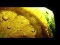 Macro video shot using Sony ZV-1