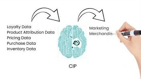 Customer Intelligence Platform Explained