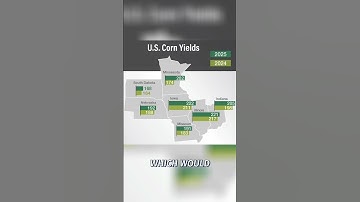 Pro Farmer Crop Tour: Analyzing Yields with Boots on The Ground