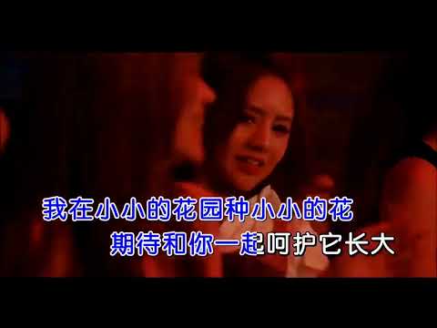 送上 2023年流行的～花园种花～ DJ 版