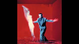 Peter Gabriel - Only Us 05