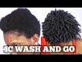 Wash and Go Short Natural 4C Hair Tutorial