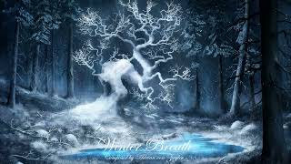 2 Hours of Relaxing Fantasy Music - Winter Breath by Adrian von Ziegler 32,137 views 3 months ago 2 hours