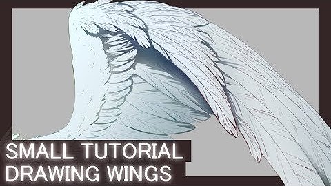 [Tutorial] How I draw wings