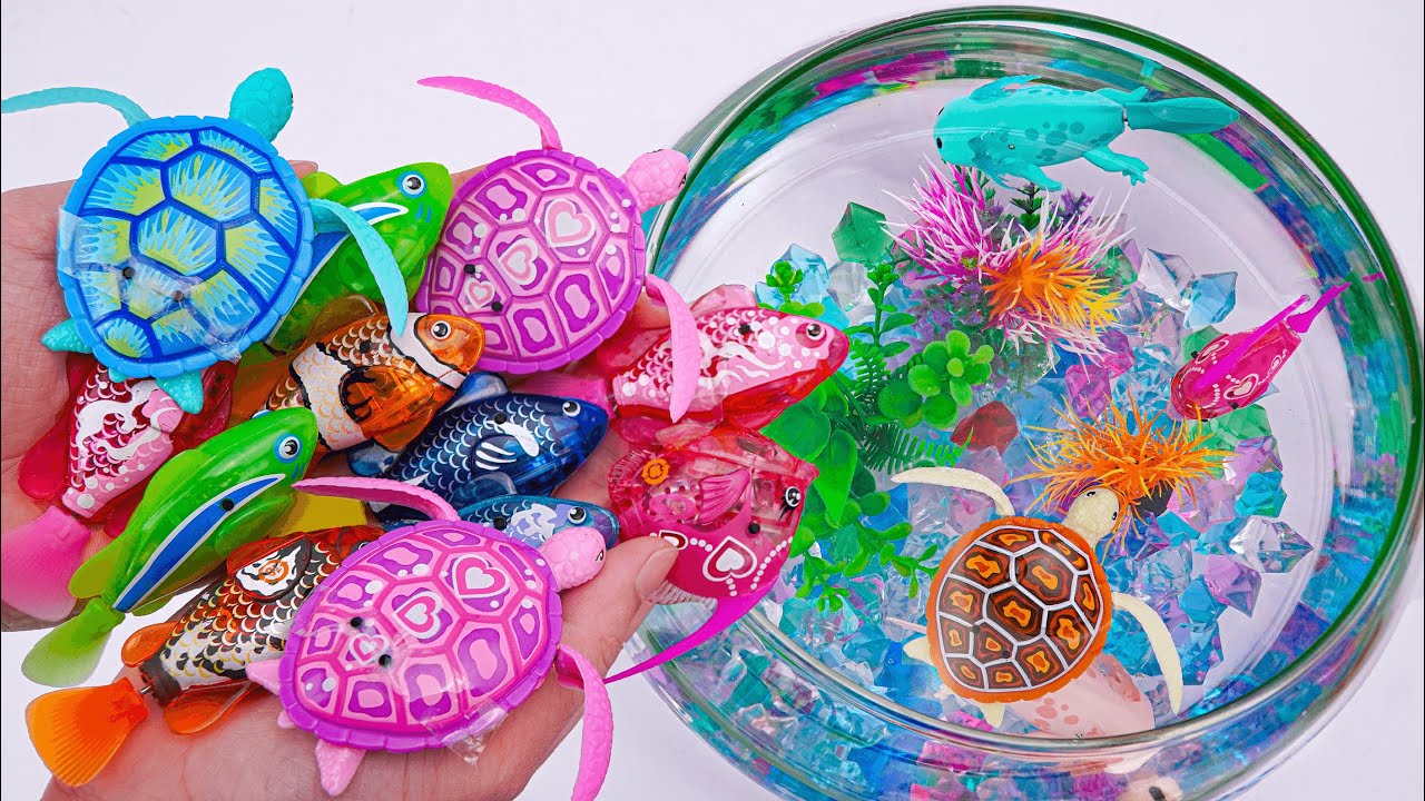 Toy asmr 🐟 Light Robo Fishing + Zuru Robo Fish Aquarium Playset ASMR | Satisfying with Unboxing