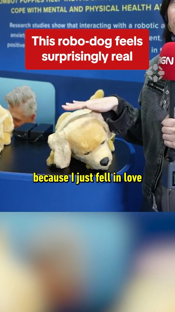Tombot makes robotic emotional support animals and it's very wholesome ? #ces #dog #robot #dementia