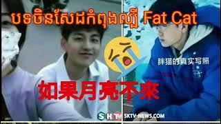 song china sad 2024 បទចិនsadកំពុងល្បីfat cat😭😭