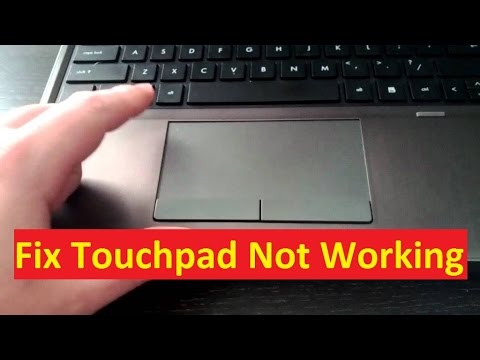 Video: Hoe Het Touchpad Op Een Laptop In Te Schakelen