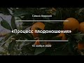 «Процесс плодоношения» | Сёмин Алексей