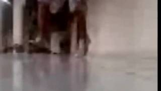 pato rebolation.wmv