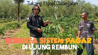 ROBUSTA SISTEM PAGAR DI UJUNG REMBUN || Tukang Ngopi Jalan-jalan