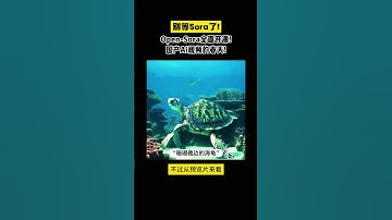 别等Sora了！Open sora全面开源！一句话生成Ai大片！ #AI视频  #AIGC  #Sora  #科技  #国产AI  #AI绘画  #人工智能  #电影制作