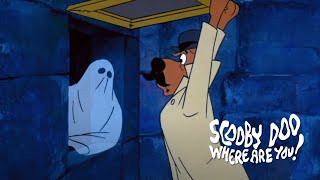 Scooby-Doo Where Are You! | Scooby-Wayne! | Hassle in the Castle