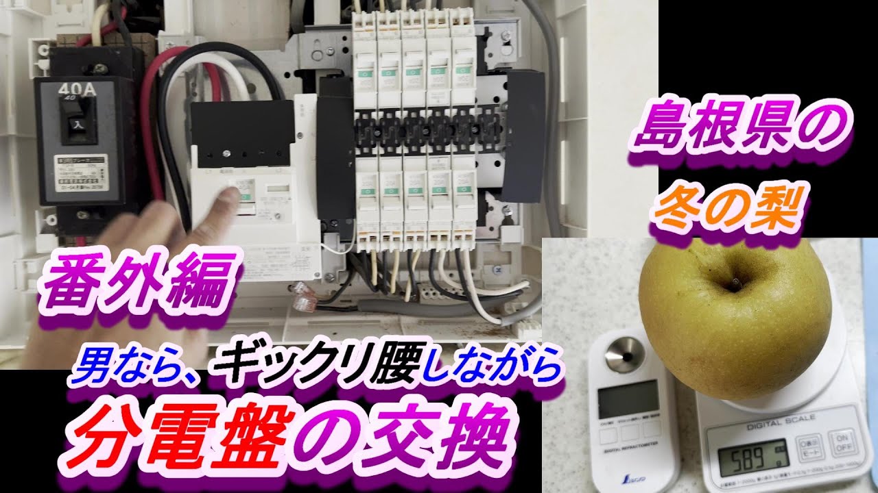 番外編【200V分電盤交換、工事価格って？』ギックリ腰の激痛で工事