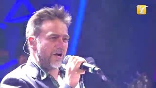 Video thumbnail of "Vicentico,Creo Que Me Enamoré, Festival de Viña 2015"