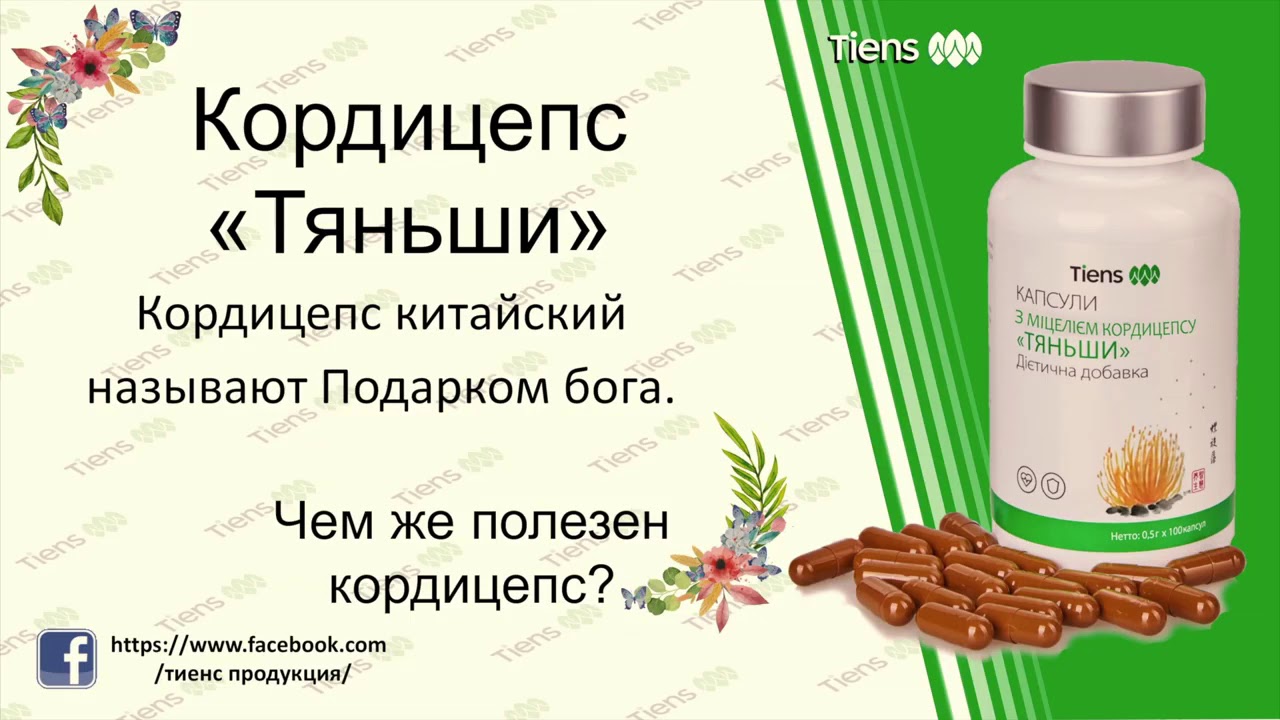 Кордицепс tiens