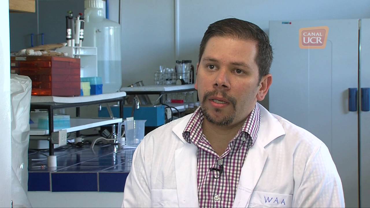 causas del cambio climatico Cancér gástrico por Lillianne Sánchez