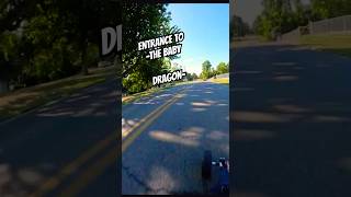 The Baby 🐉 dragon #eskate #esk8 #longboarding #electriclongboard #rc #fast  #electricskateboard