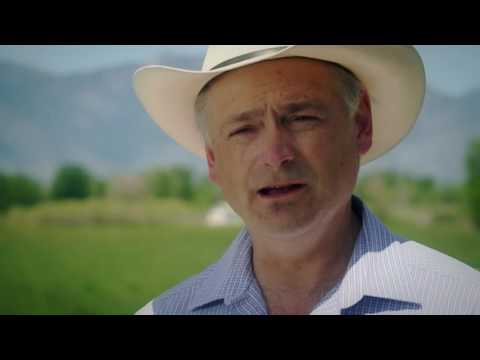 Bloomberg: Hands off our Nevada Gun Rights